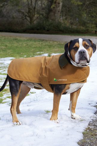 Carhartt® Dog Chore Coat