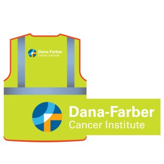 Safety Vest